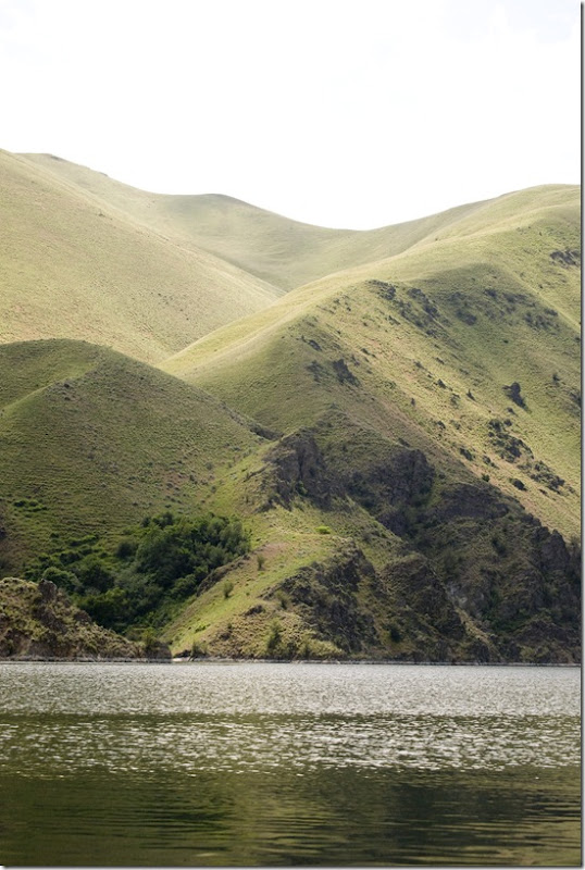 Chronicles of Organized Chaos Brownlee Reservoir